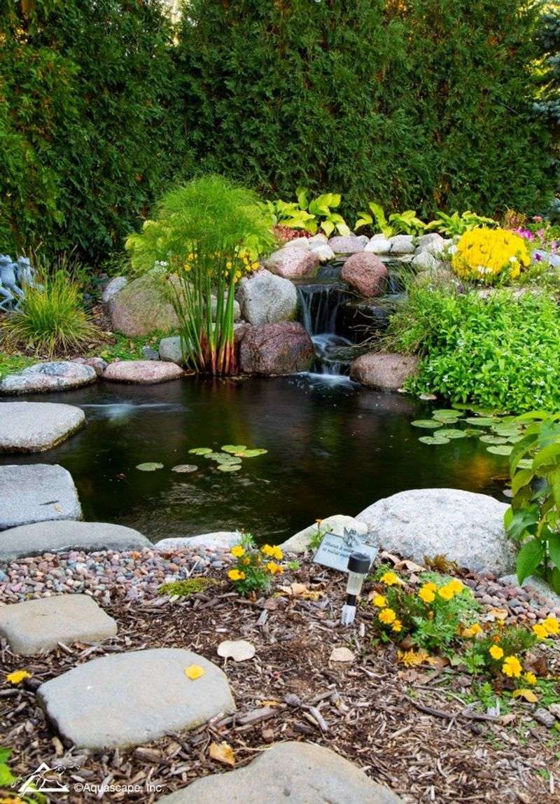 Manage ponds so habitat does not become a mosquito nursery Manage ponds so habitat does not become a mosquito nursery