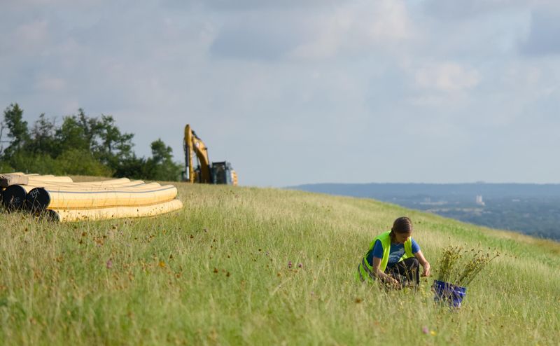 Prairie and Habitat Restoration Rescues