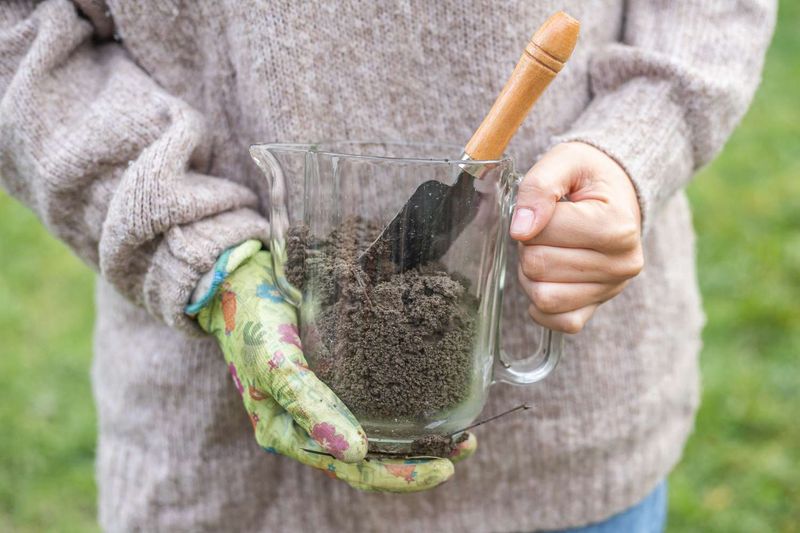 Match Any Magnesium Remedy to the Soil and the Evidence Match Any Magnesium Remedy to the Soil and the Evidence