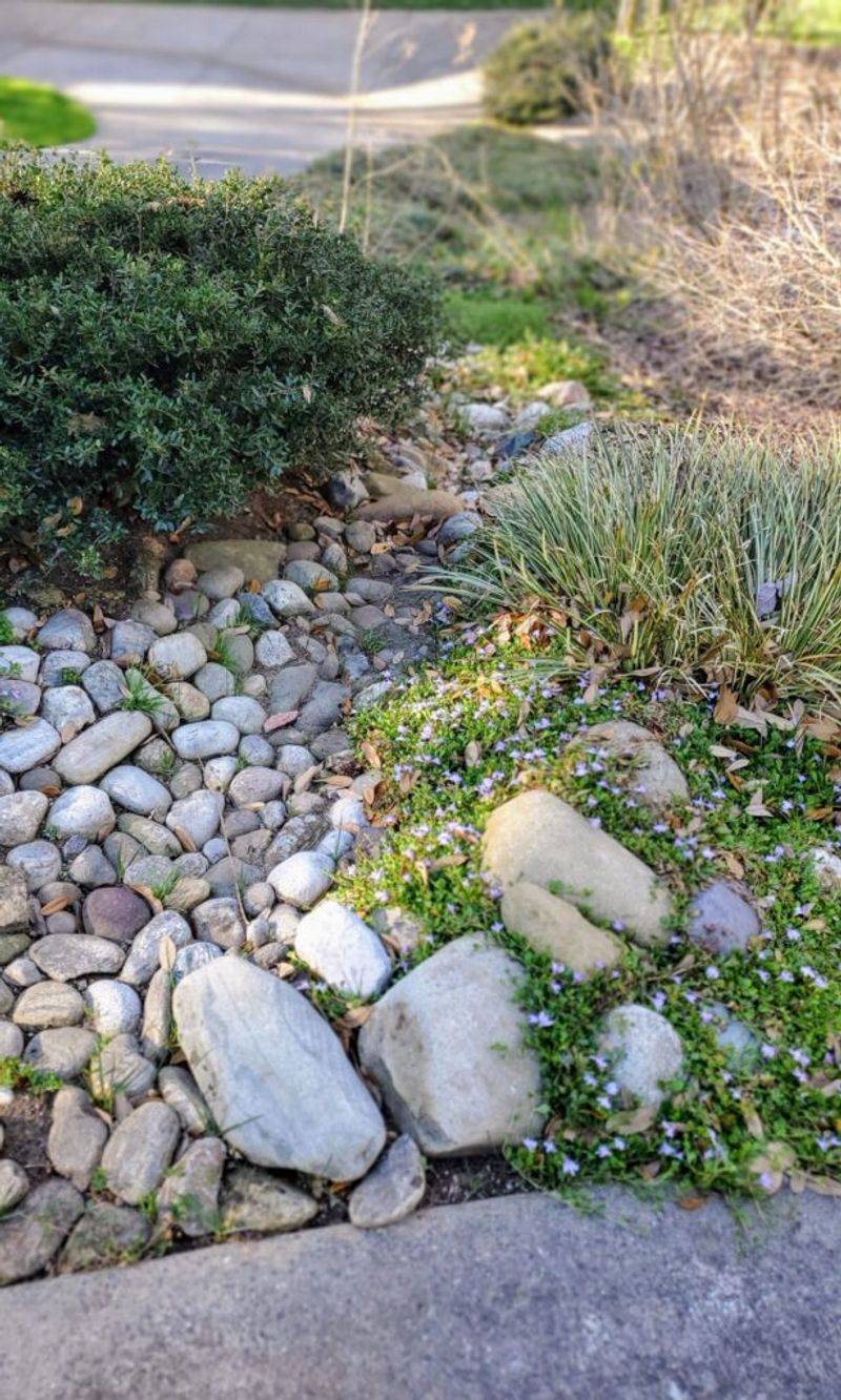 Match the planting site to the plant’s real preferences
