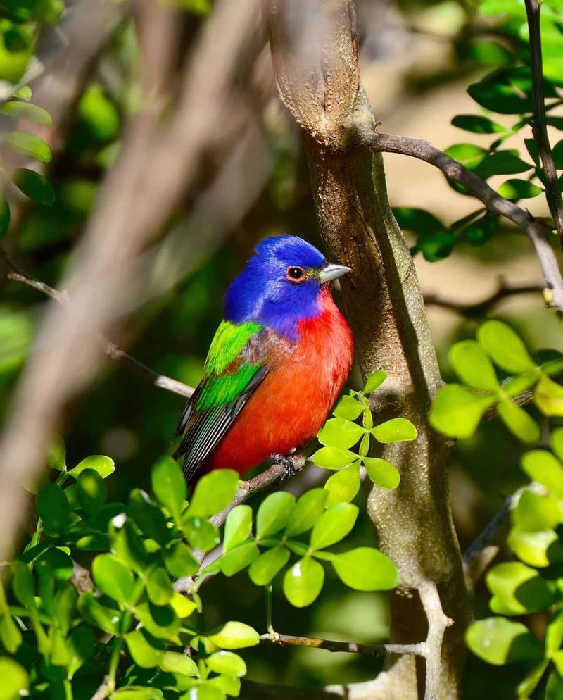 Measure improved habitat, not a guaranteed comeback Measure improved habitat, not a guaranteed comeback