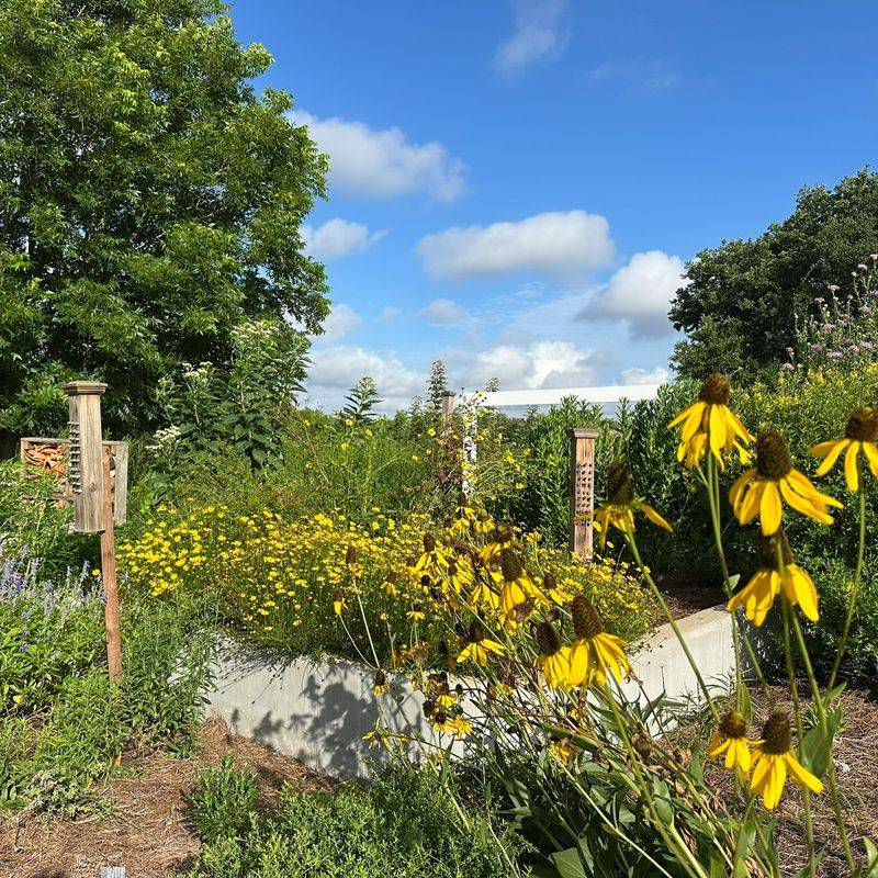 Measure success by habitat, not annual appearances