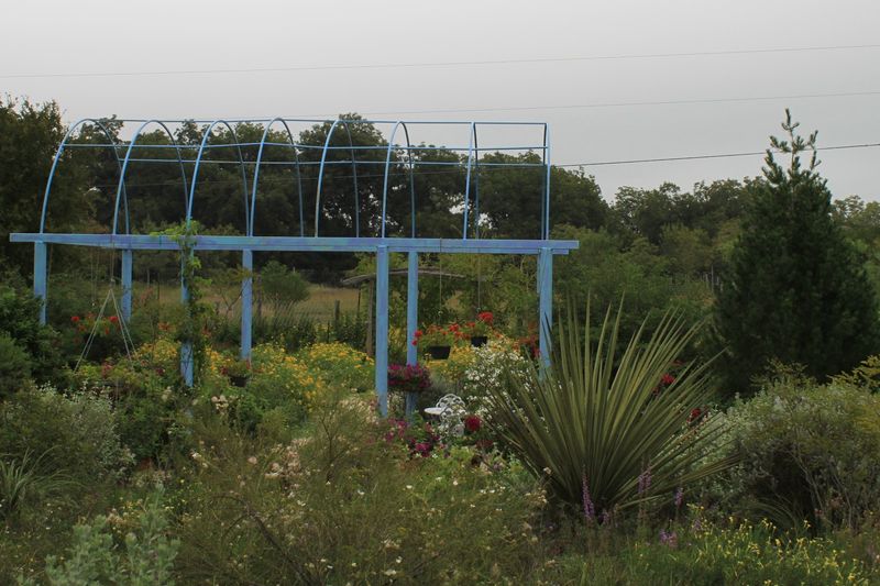 Medina Garden Nursery (Medina)
