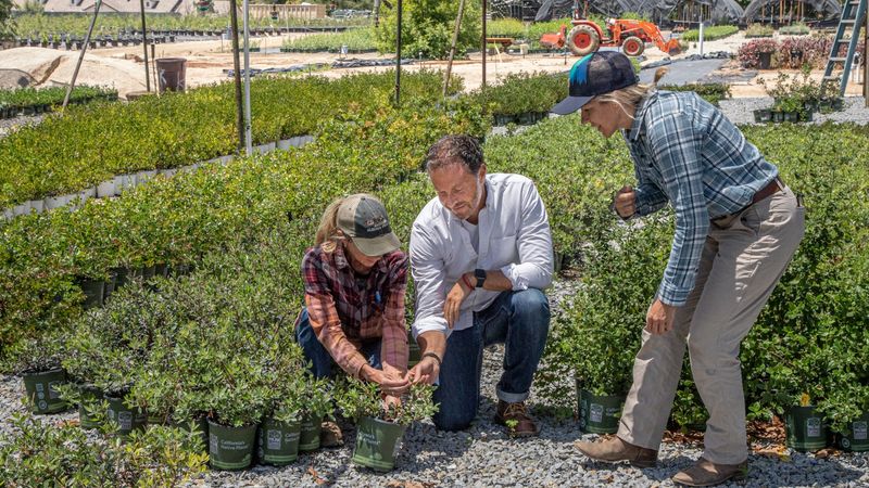 Moosa Creek Nursery (Valley Center)
