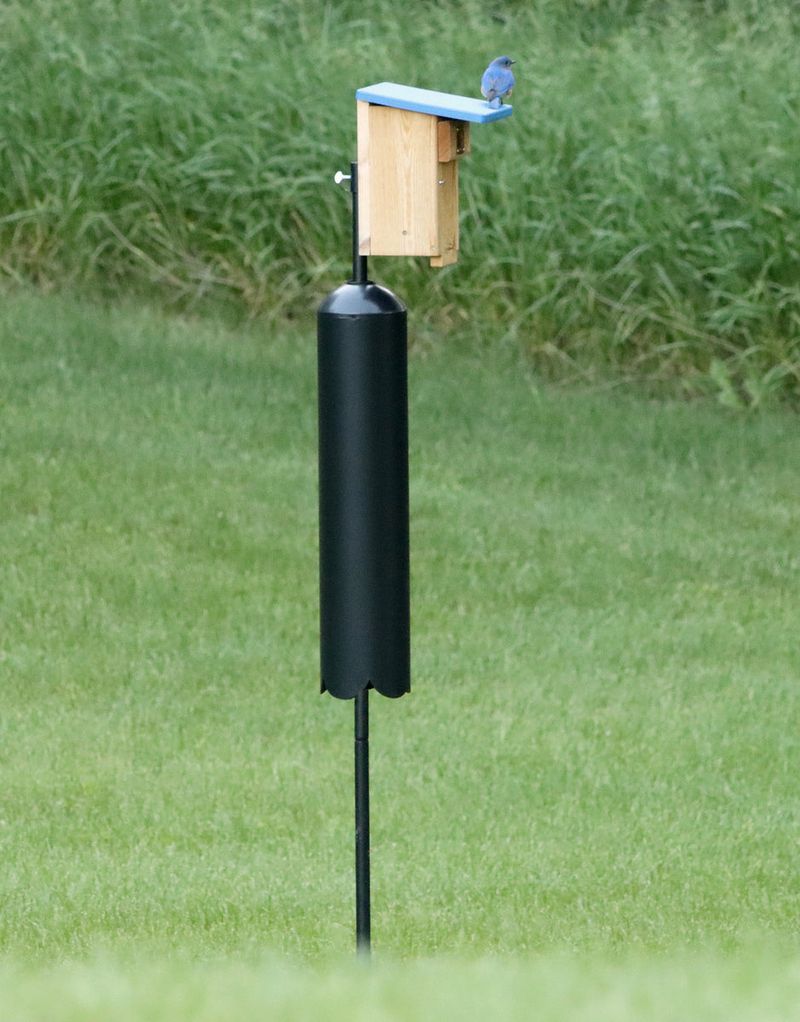 Mount the box to resist weather and predators