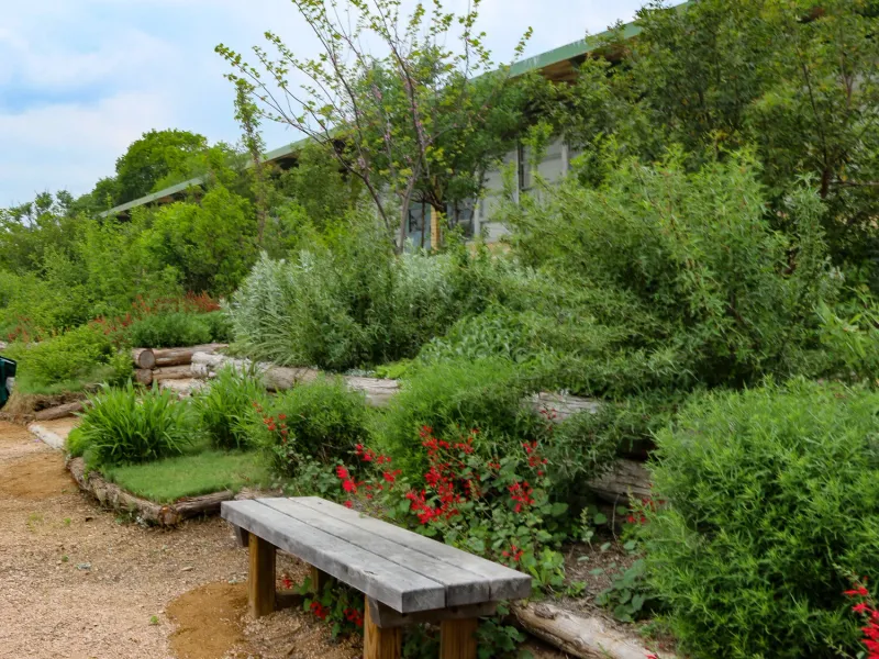 Independent Native Plant Nurseries
