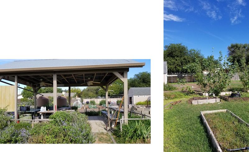 Master Naturalist and Master Gardener Events