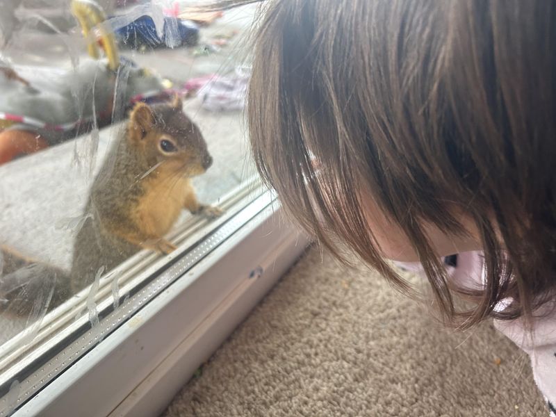 They Teach Kids to Love Nature