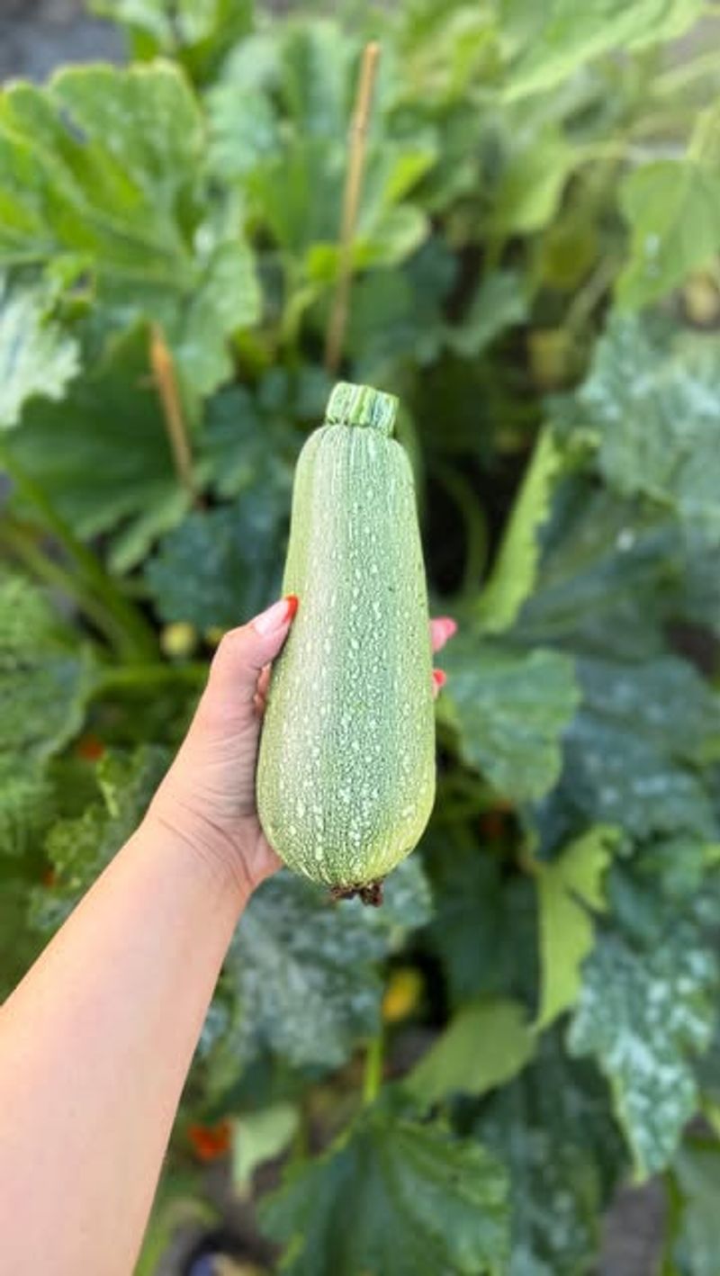 Manageable Weight in Your Hand