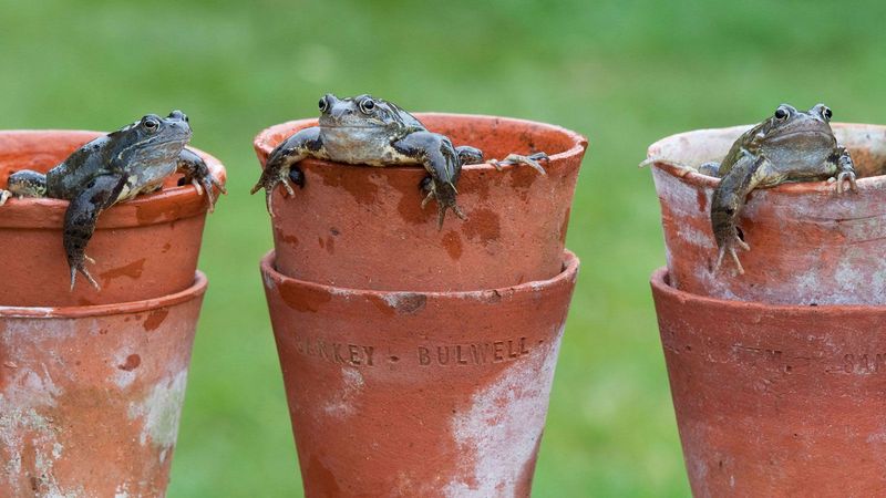 Offer limited refuge without wasting water or weakening fire safety
