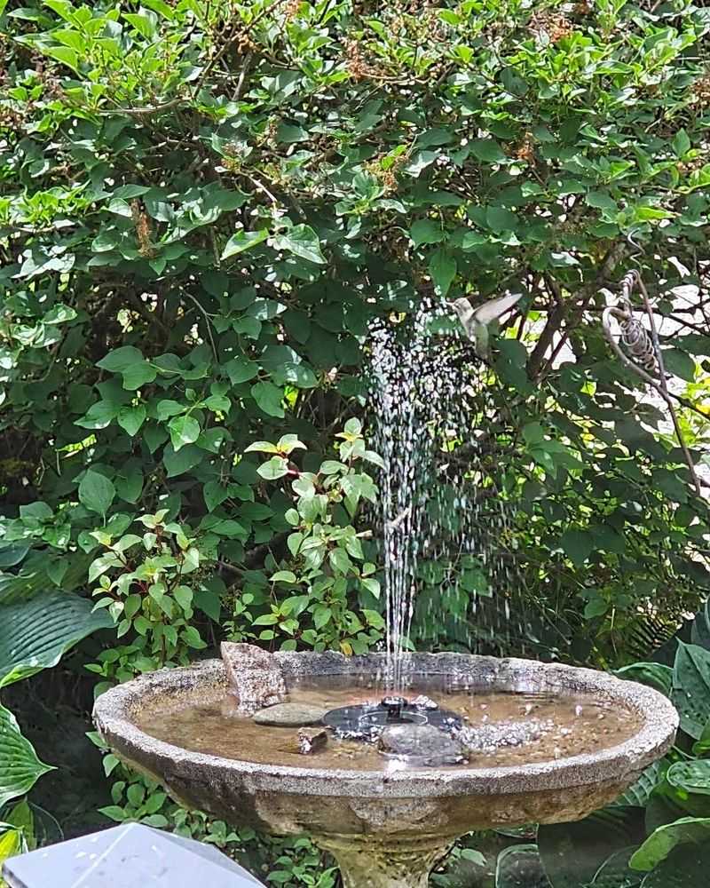 Offer shallow water instead of a deep bath Offer shallow water instead of a deep bath