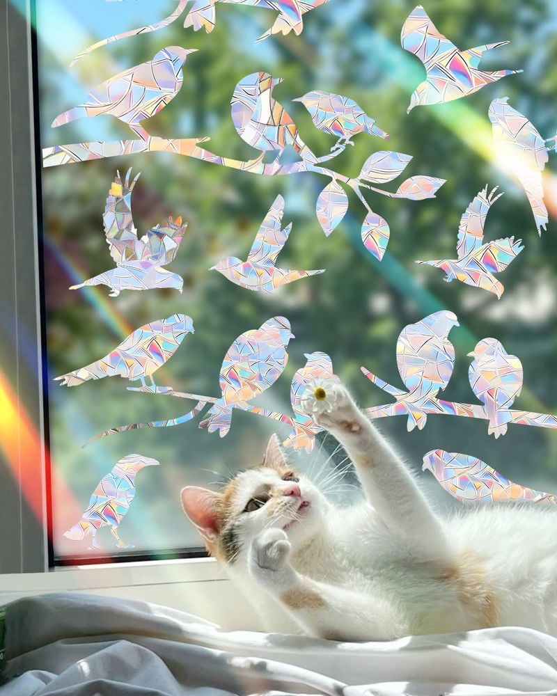 Reflective Windows and Sneaky Predators Scare Them Off