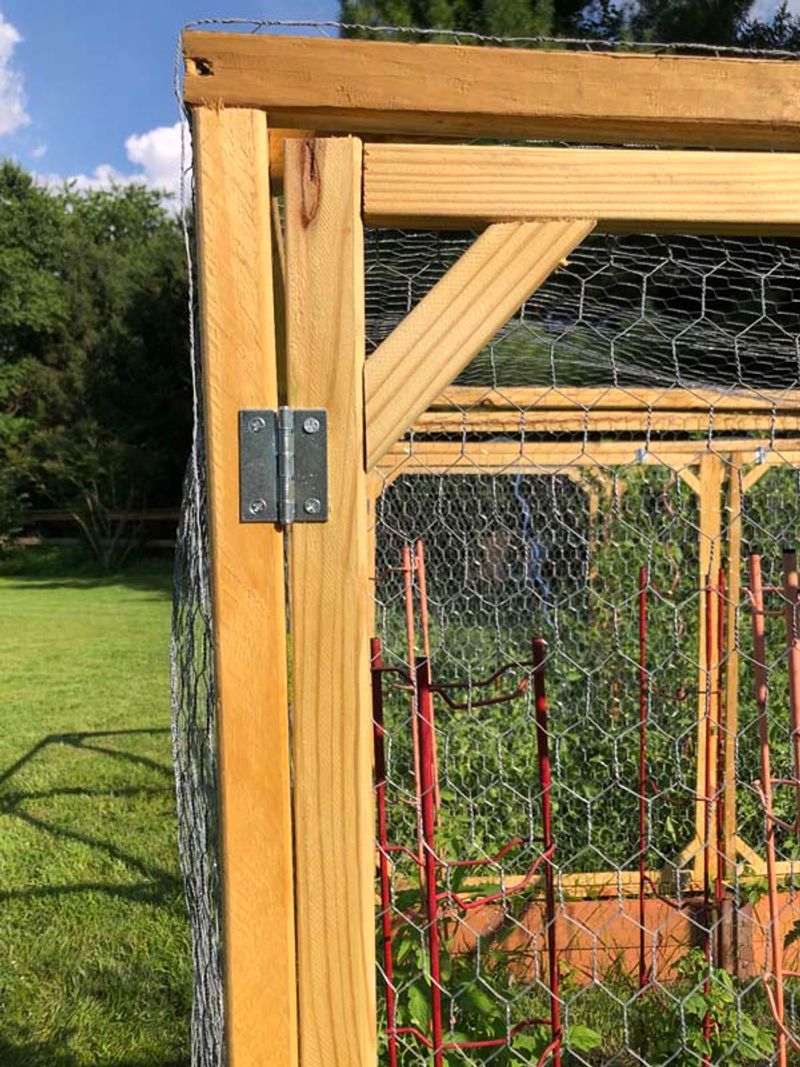 Protect Ripening Fruit From Hungry Wildlife