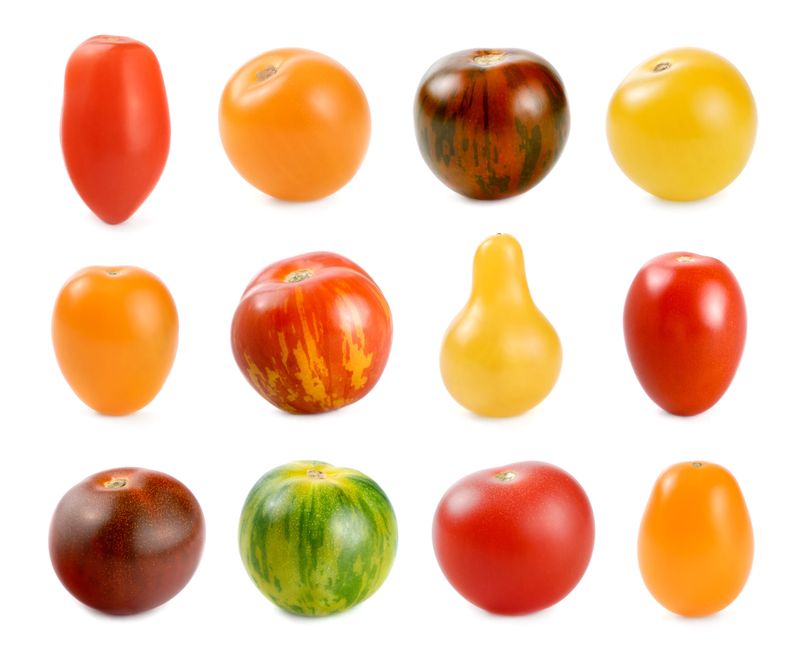 Planting the Wrong Variety for Your Climate