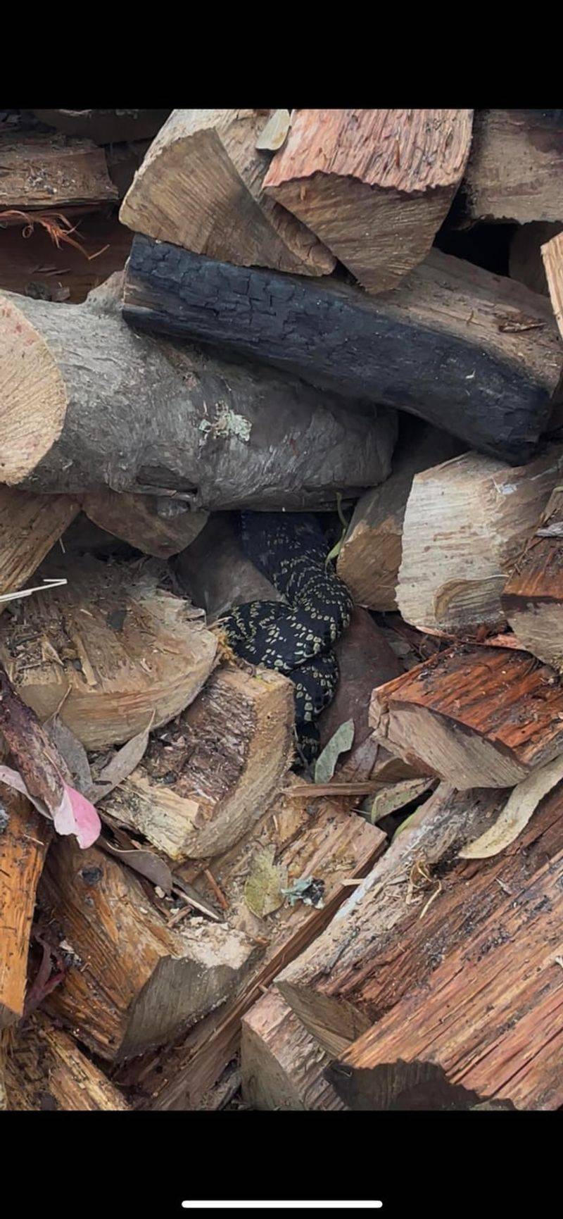 Woodpiles and Stacked Logs