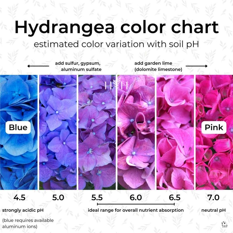 Overlooking Soil pH for Bud Health