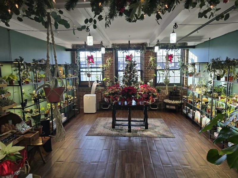 A Beautiful, Cozy Space to Wander