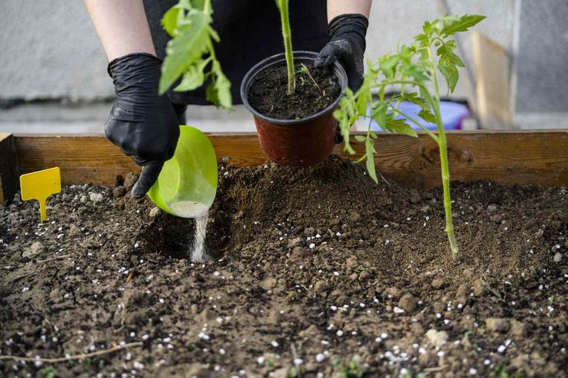 Pause extra nitrogen while you audit the soil