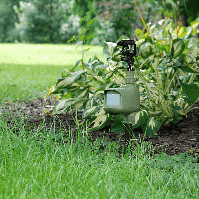 Add Motion-Activated Lights or Sprinklers