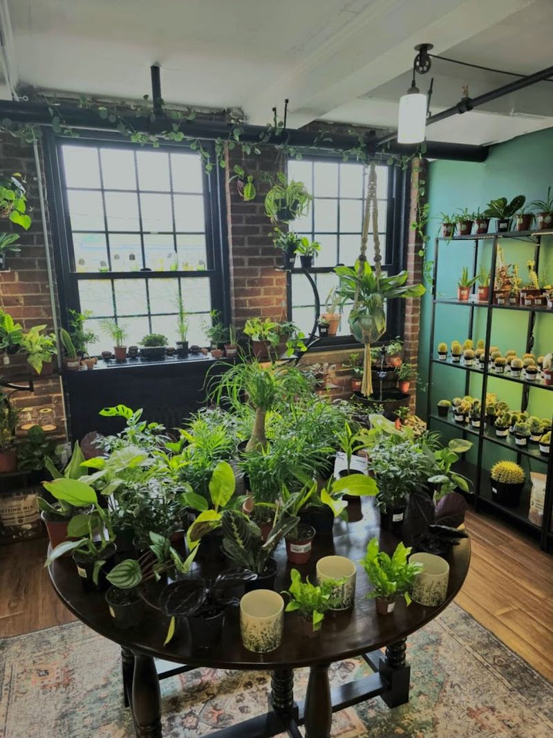 Owners Who Love Talking Plant Care