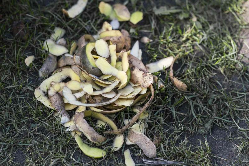 Potato Peels