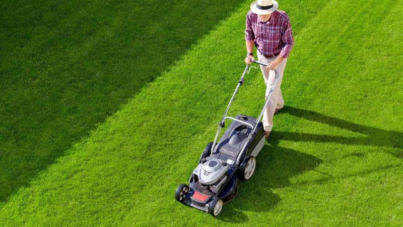 When the grass gets tall, lower the height gradually
