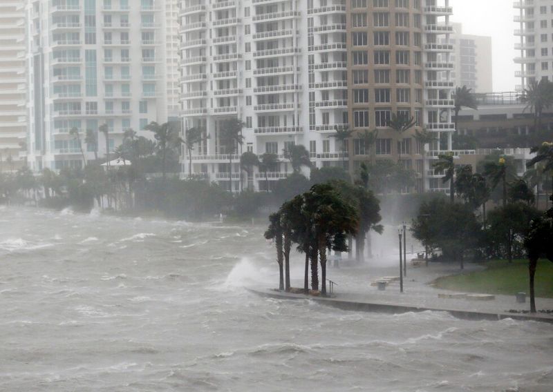 Prepare containers and planting sites for storms and flooding Prepare containers and planting sites for storms and flooding