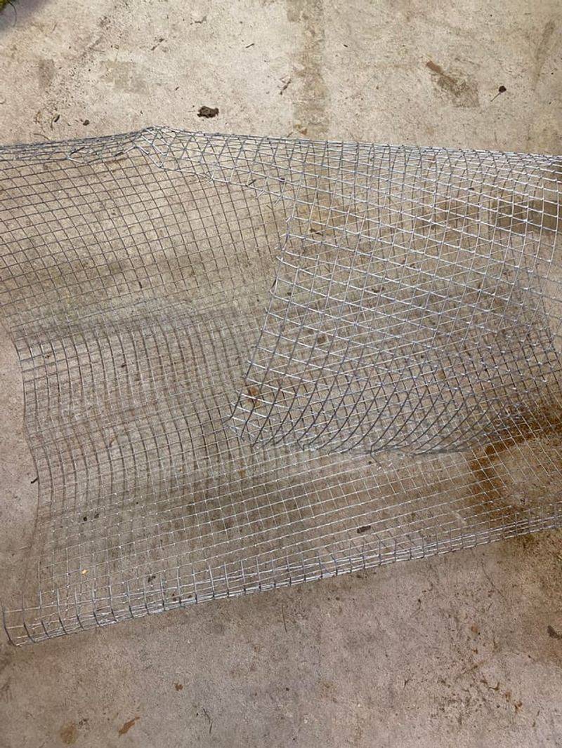 Protect bulbs and seedlings with properly installed mesh Protect bulbs and seedlings with properly installed mesh