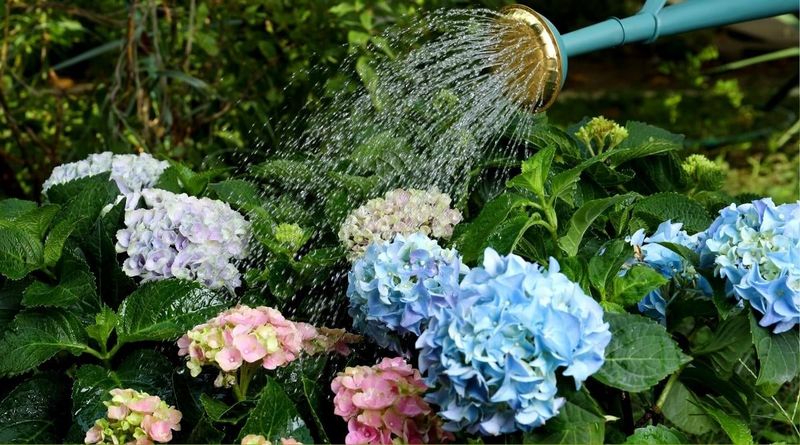 Protect healthy growth now and set realistic bloom expectations