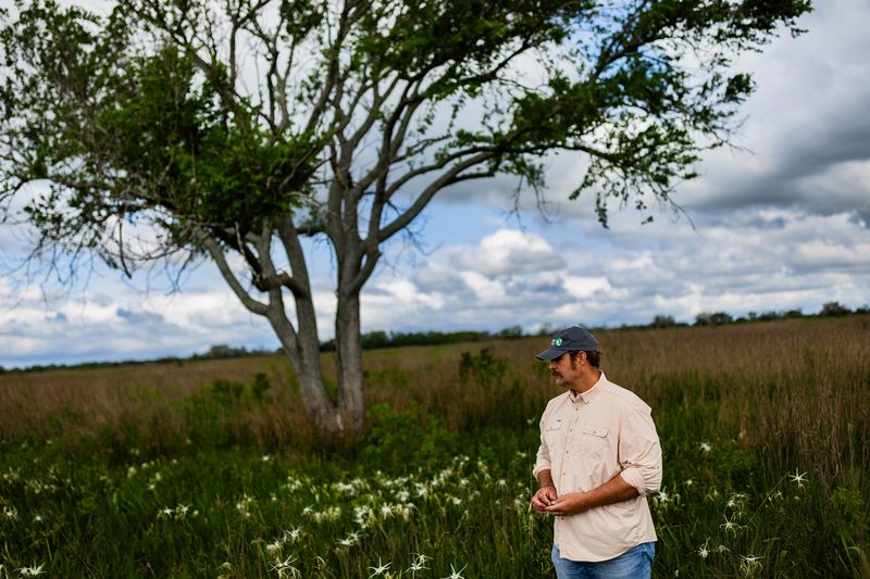 Protect native diversity before tallow dominates the site Protect native diversity before tallow dominates the site