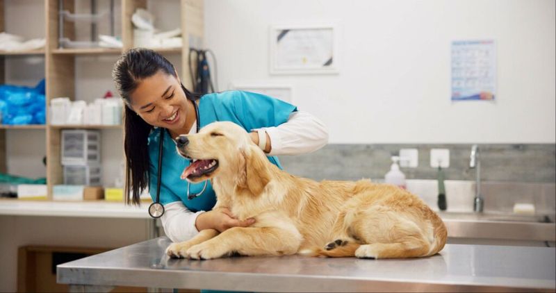 Protect pets and respond safely to wildlife contact