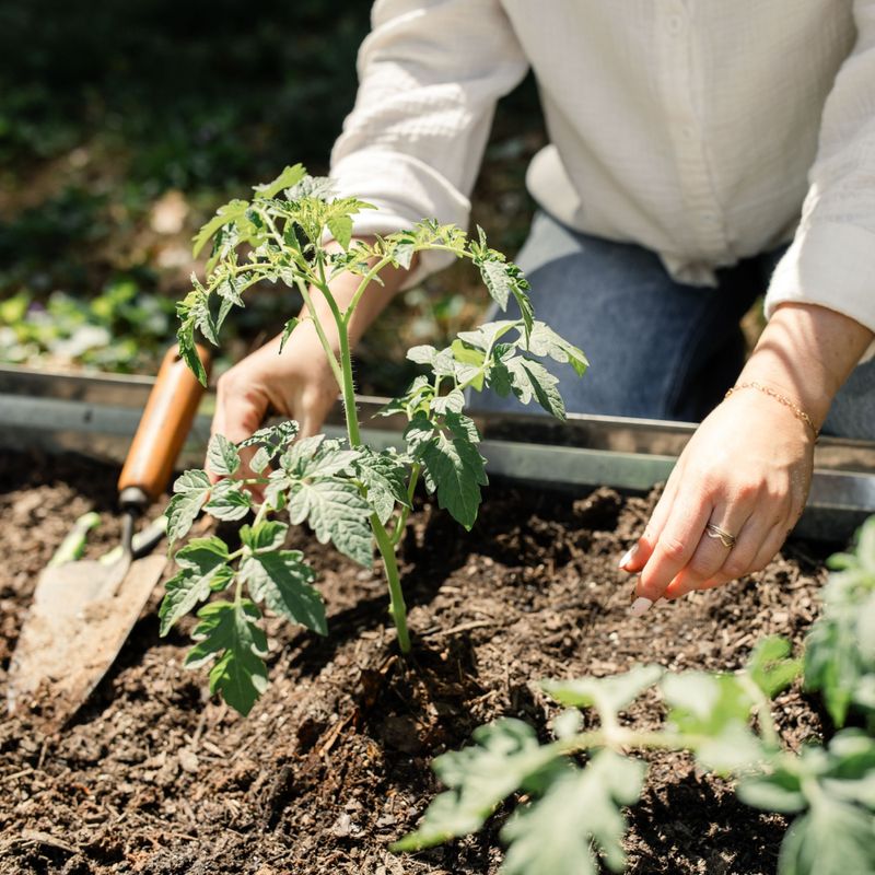 Protect the roots that deliver water and calcium