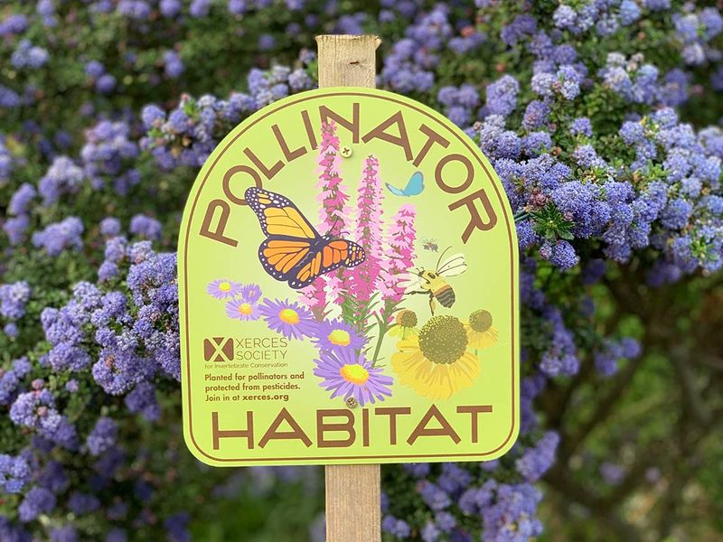 Protect visiting bees from pesticide exposure