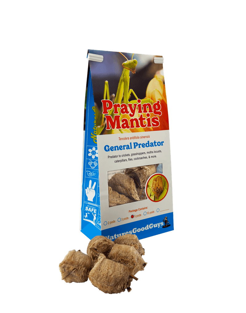 Purchased egg cases will not make mantises reliable pest managers