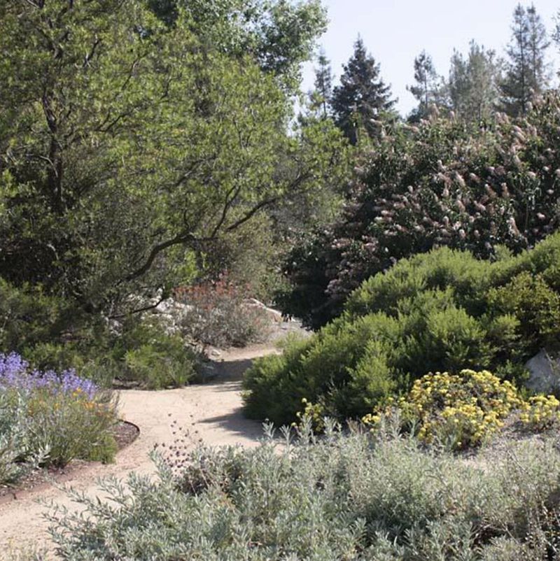 Rancho Santa Ana Botanic Garden Grow Native Nursery (Claremont) Rancho Santa Ana Botanic Garden Grow Native Nursery (Claremont)