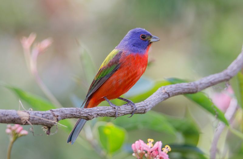 Read Florida visits through the right seasonal lens Read Florida visits through the right seasonal lens