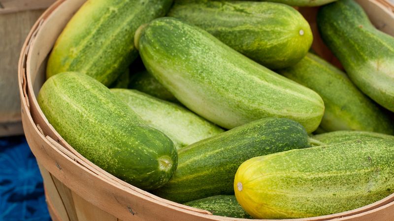 Reassess heat, variety, nutrition, and maturity