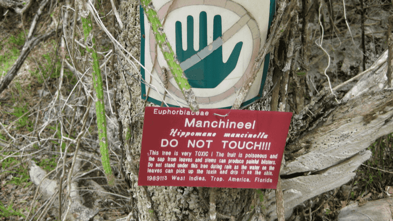 Recognition without contact is the useful takeaway Recognition without contact is the useful takeaway