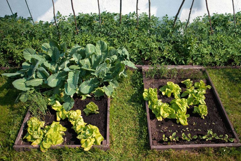 Reduce pesticide exposure around amphibian habitat