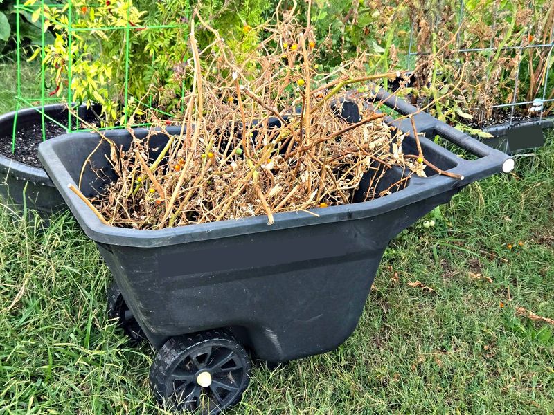 Reduce shelter and pressure after harvest Reduce shelter and pressure after harvest