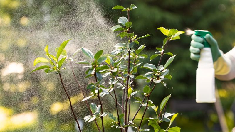 Reduce unnecessary broad-spectrum pesticide exposure Reduce unnecessary broad-spectrum pesticide exposure