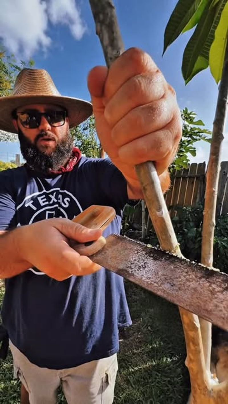 Remove problem wood before shaping the silhouette