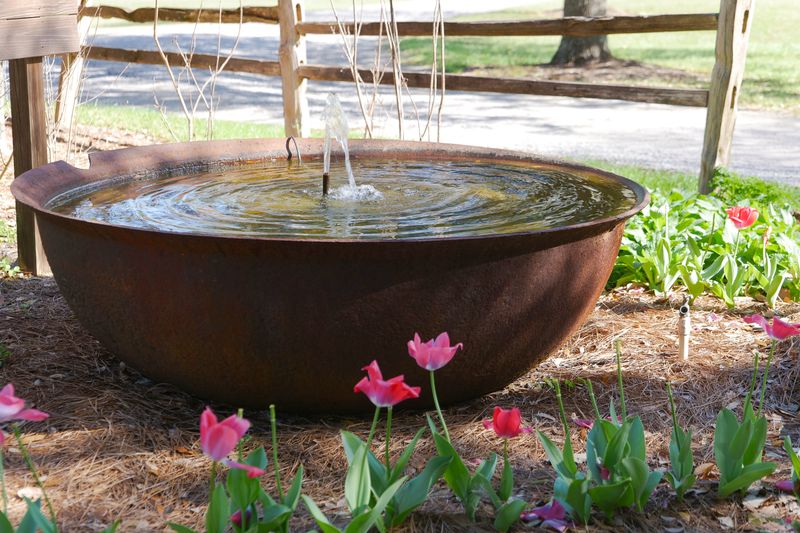 Remove the standing water around your patio every week Remove the standing water around your patio every week