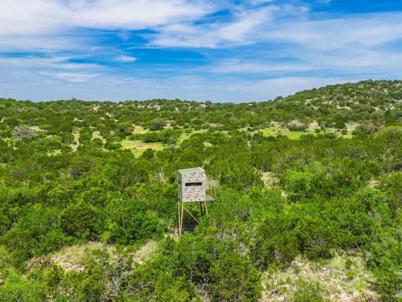 Assess whether your Texas property fits roadrunner habitat