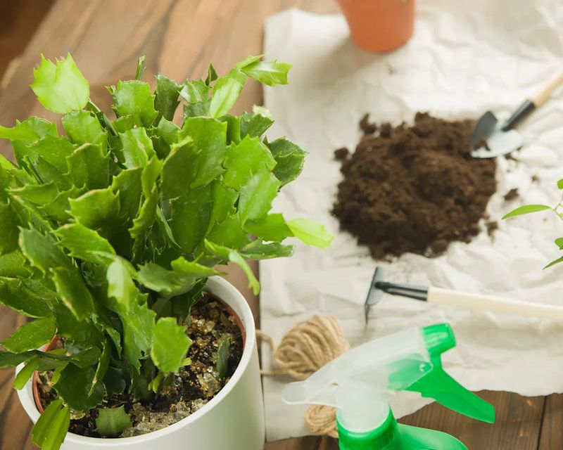 Prevent the next watering mistake