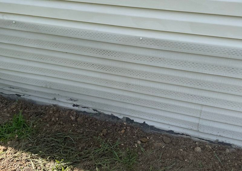 Seal entry points and use snap traps for active infestations