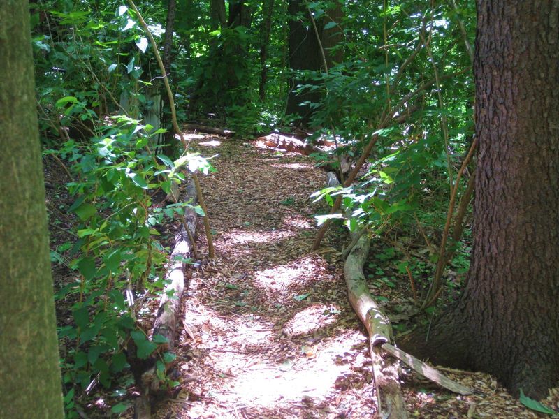 Separate the wildlife border from high-use spaces Separate the wildlife border from high-use spaces