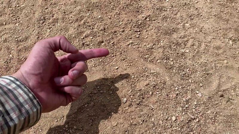 Winding Tracks in Loose Dirt or Mud