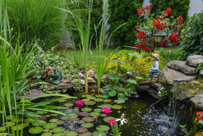 Add a Water Feature or Damp Spot