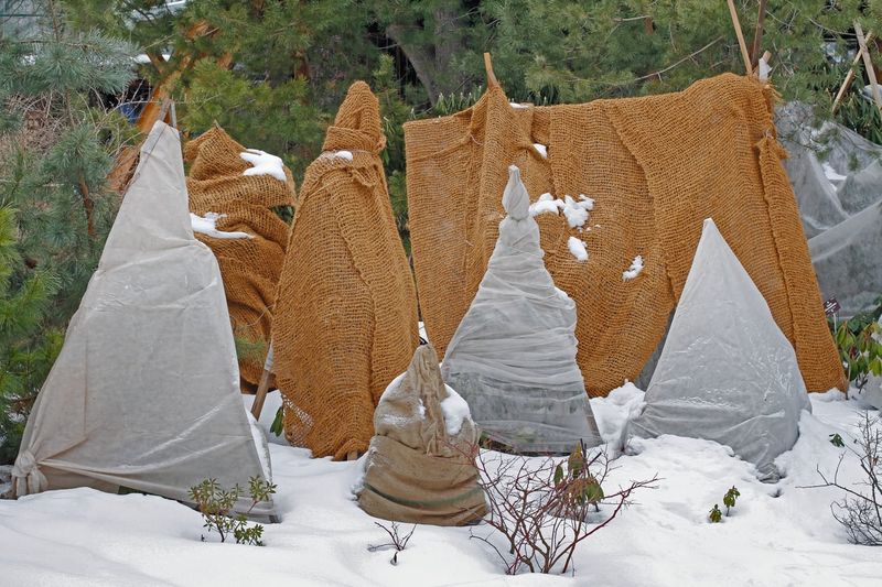 Skipping Winter Protection